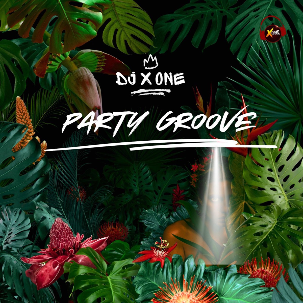 Party Groove - Single by XoneThaDj album cover
