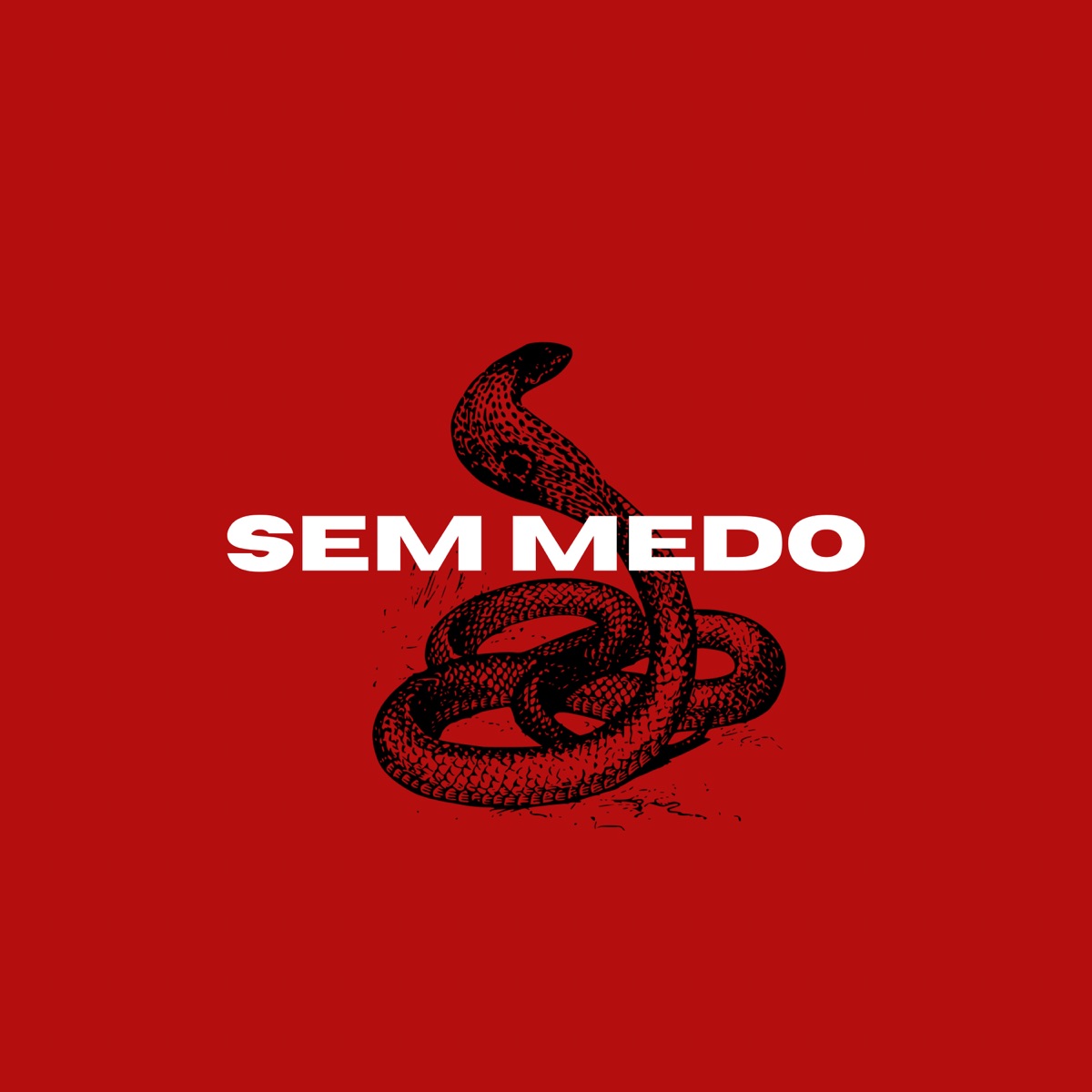 Sem Medo (feat. Jay-Gueto Beats) - Single by Gritto, Gau Beats & Jay-Gueto album cover