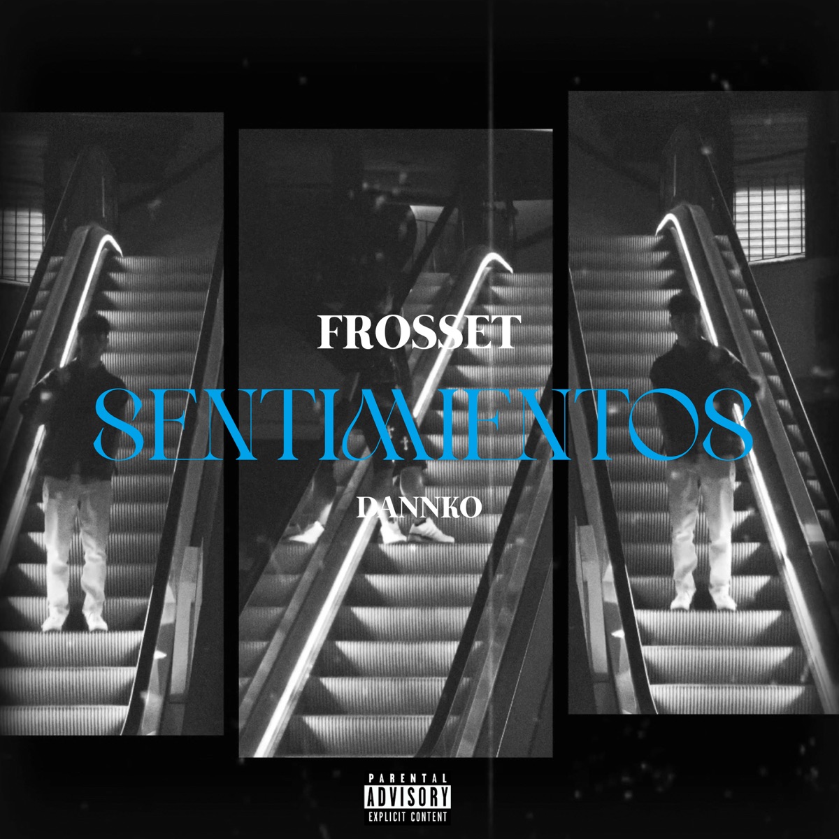 Sentimientos (feat. Dannko) - Single by Frosset album cover