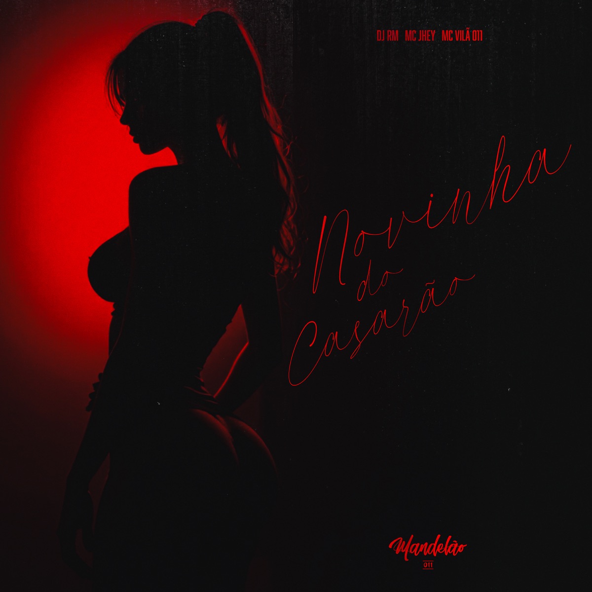 Novinha do Casarão - Single by Dj Rm, Mc Jhey & MC VILÃ DA 011 album cover