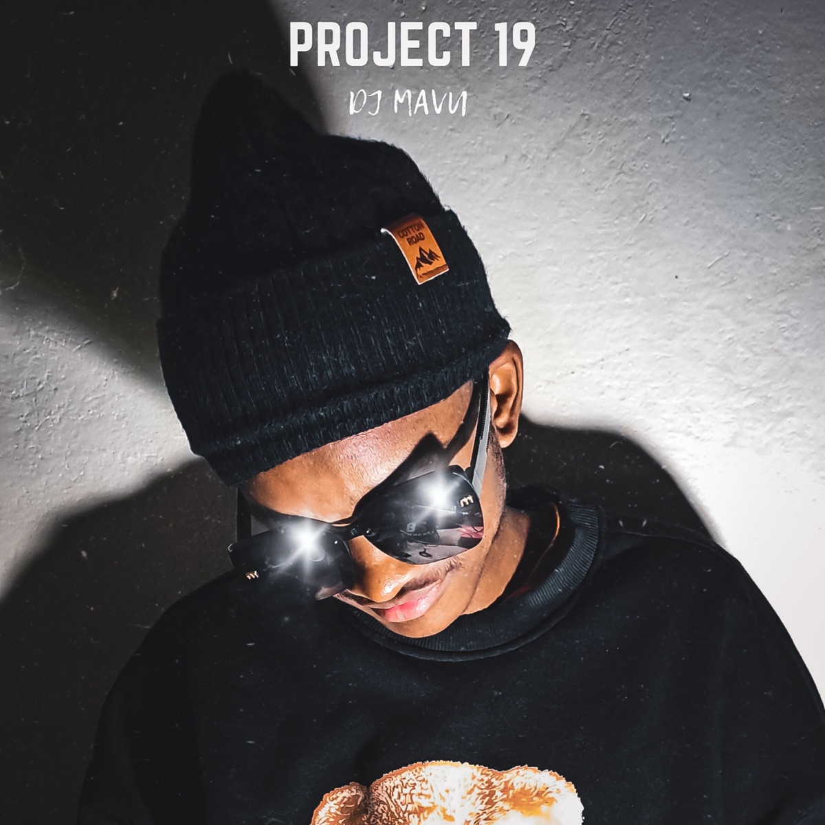 Project 19 - Single by DJ Mavu album cover