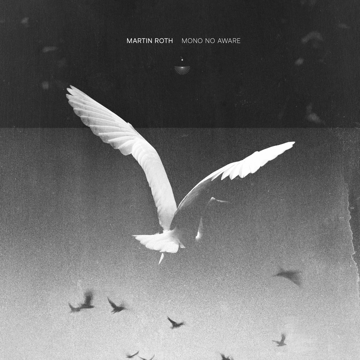 Mono No Aware by Martin Roth album cover