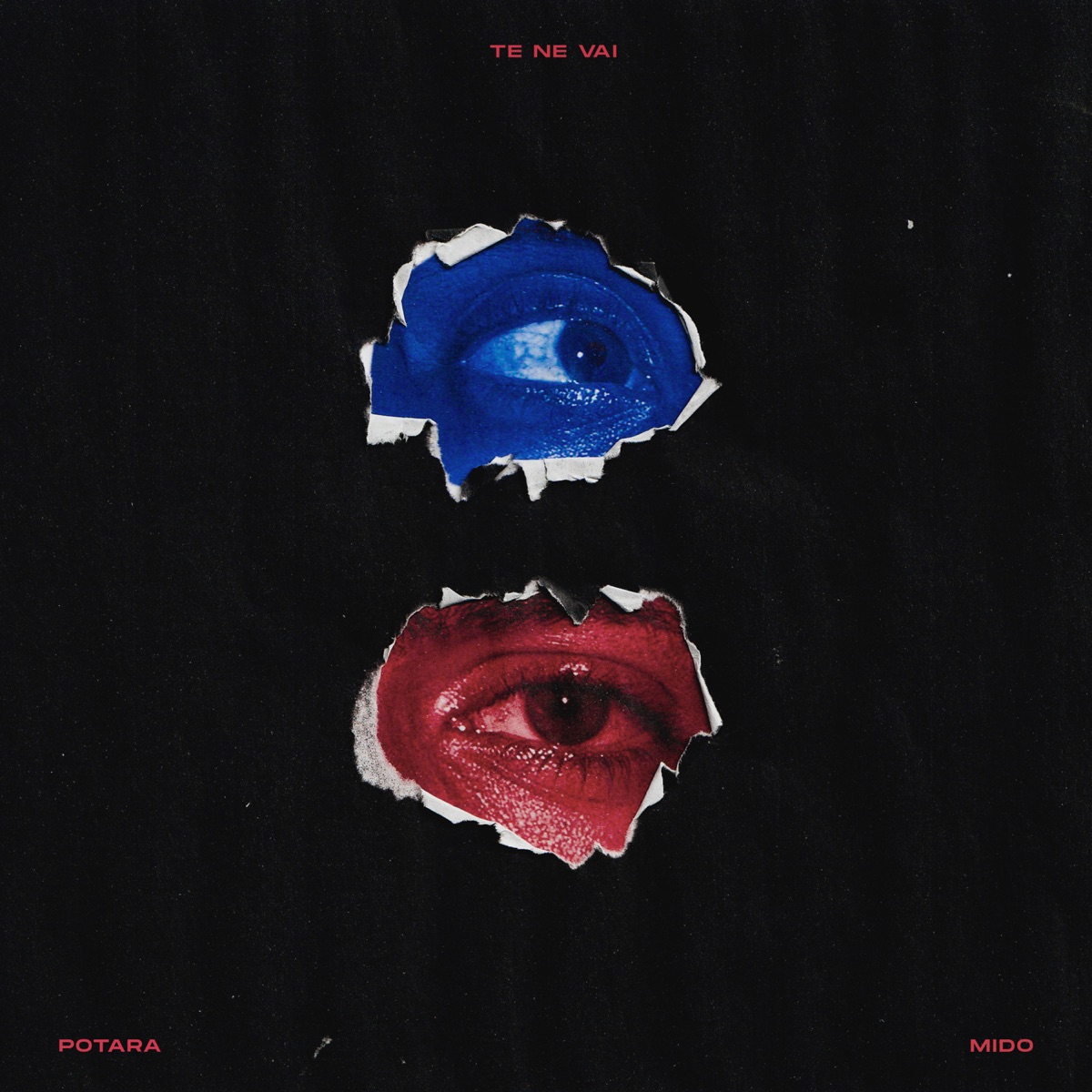 TE NE VAI (feat. C-LEG) - Single by PotaraBaby, Mido & Will Yam album cover
