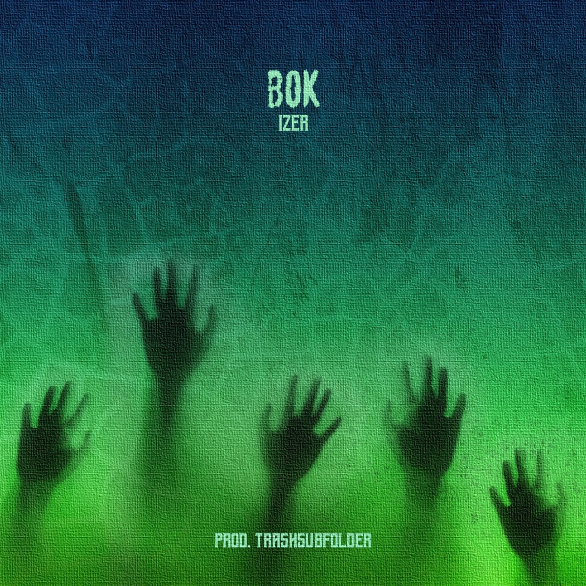 BOK - Single by izer & TRASHSUBFOLDER album cover