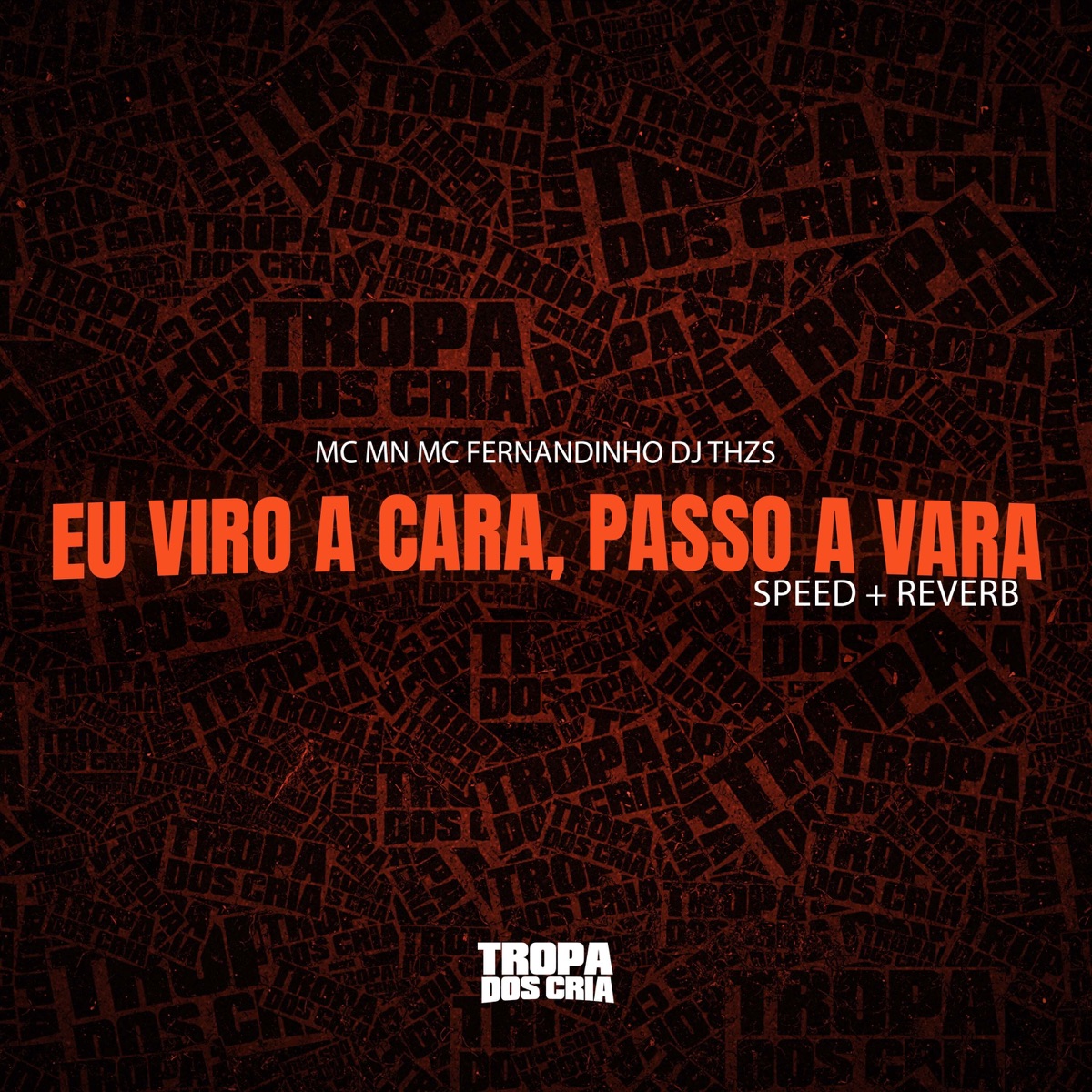 Eu Viro a Cara, Passo a Vara Speed + Reverb - Single by MC MN, Mc Fernandinho & DJ TH ZS album cover