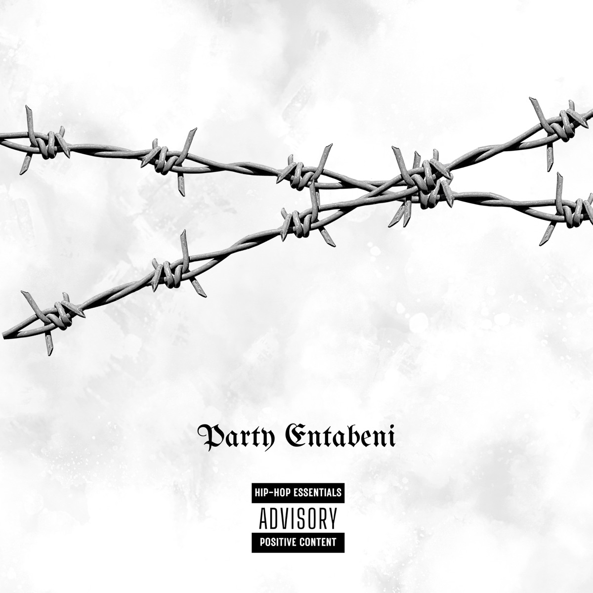 Party Entabeni - Single by Delta Twins album cover