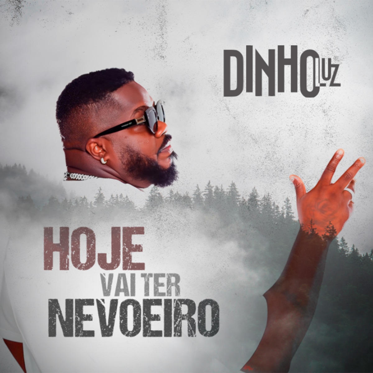 Hoje Vai Ter Nevoeiro - Single by Dinho Luz album cover