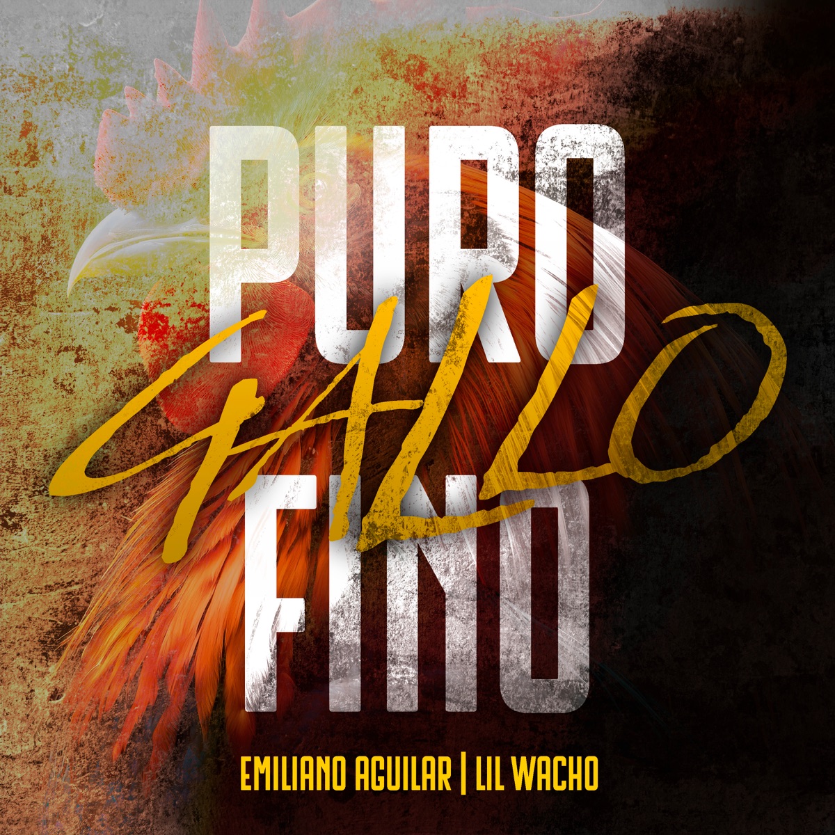 Puro Gallo Fino - Single by Emiliano Aguilar & Lil Wacho album cover