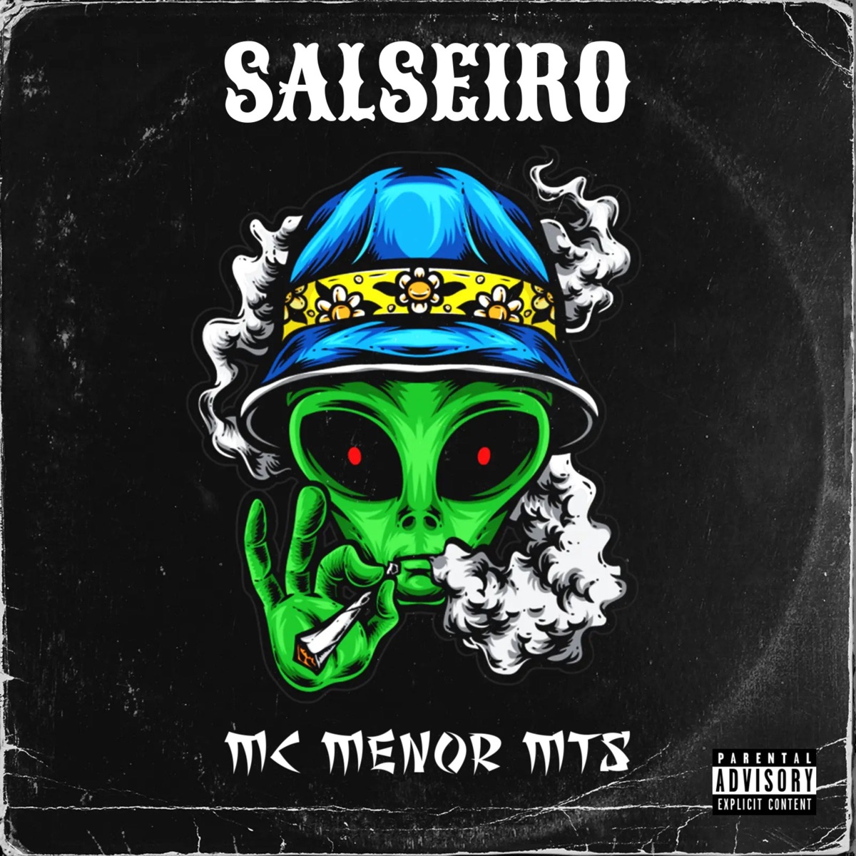 Salseiro - Single by Mc Menor Mts, PDF RECORDS & DJ SM OFICIAL album cover