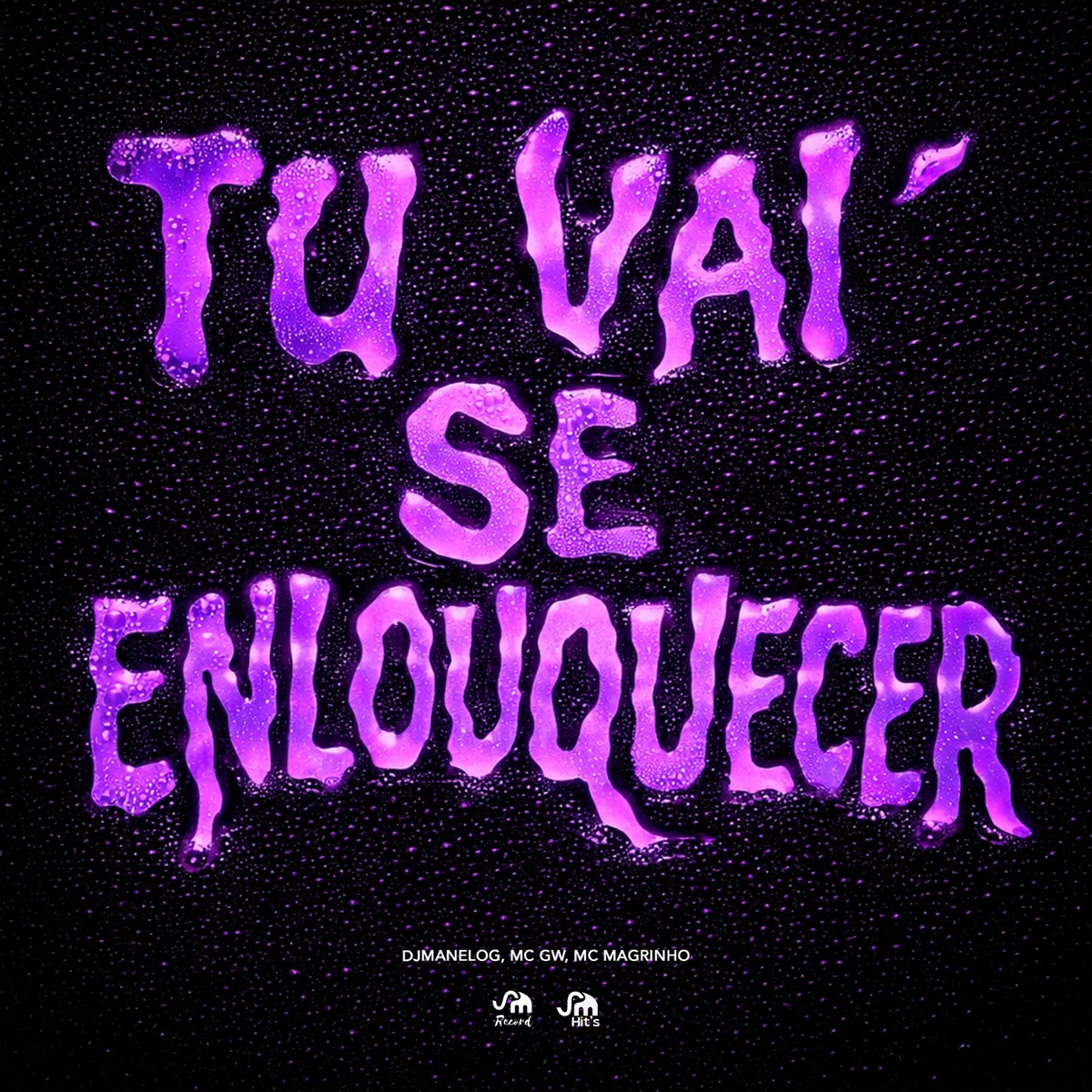 Tu Vai Se Enlouquecer - Single by djmanelog, Mc Gw, Mc Magrinho & SM Record album cover