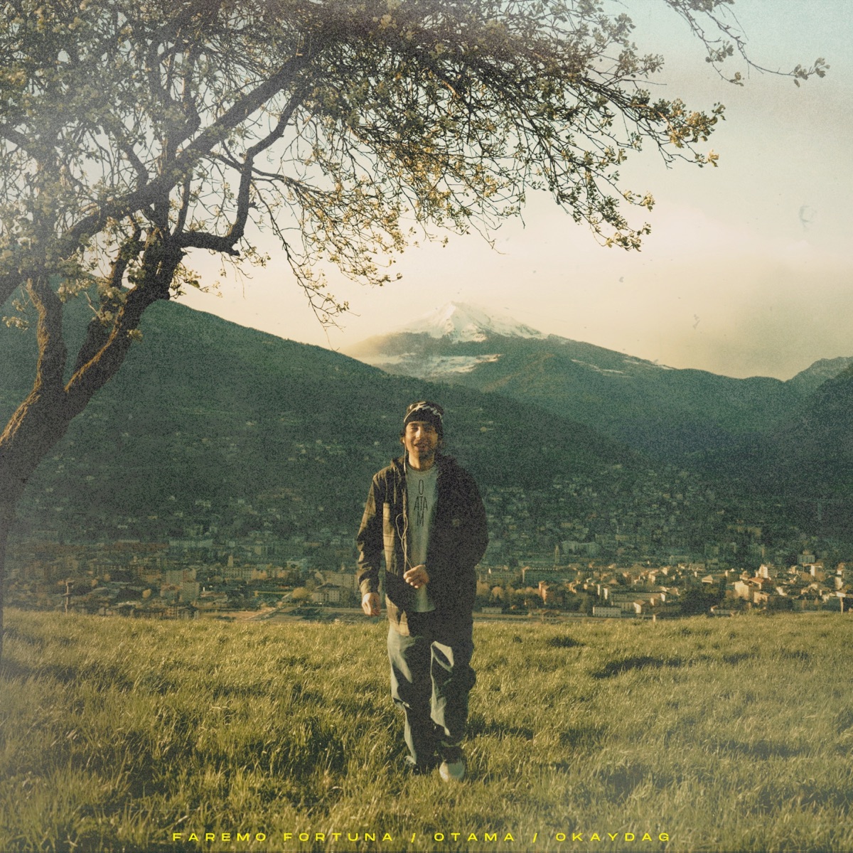 Faremo Fortuna - Single by OTAMA album cover