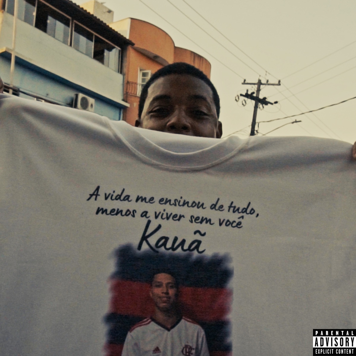 Saudades (Dos Meus Irmãozin) - Single by 2pzinn & Williamidia album cover