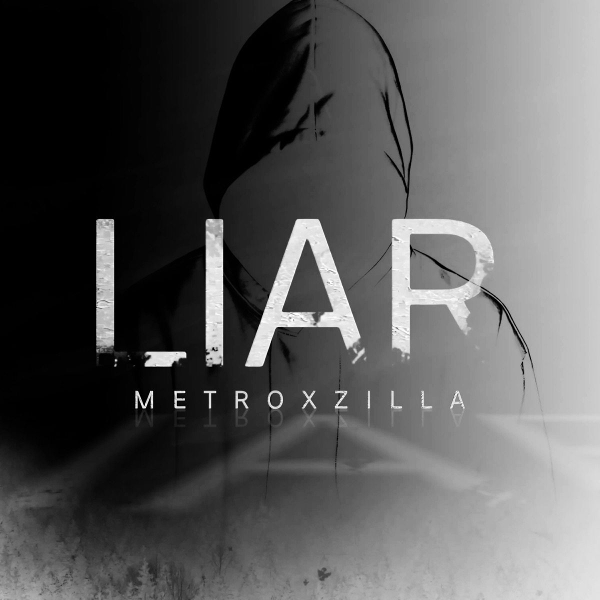 Liar (Remixes) - Single by Metroxzilla album cover