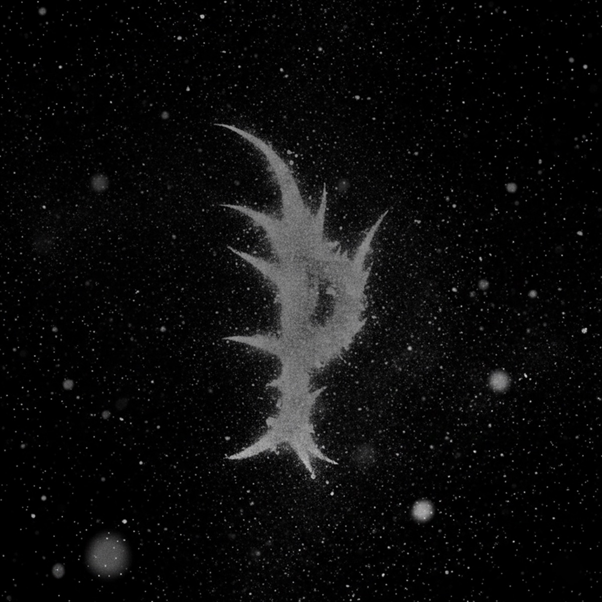 El nuevo legado - EP by Punición album cover