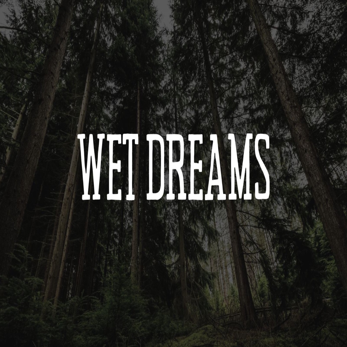 Wet Dreams - Single by Indra & Airo Music album cover