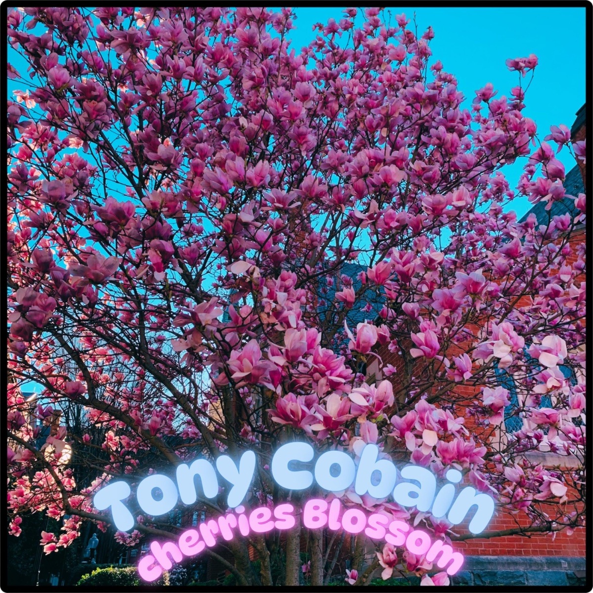 Cherries Blossom - Single by Tony Cobain album cover