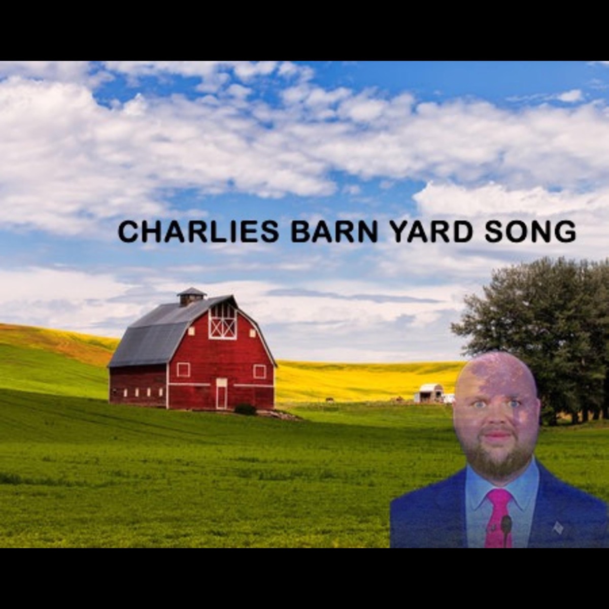 Charlie's Barn Yard Song (feat. Green Little) - Single by Randy Diggs album cover