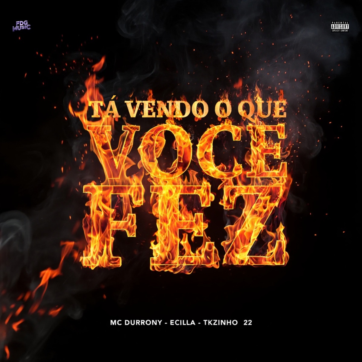Ta Vendo o Que Você Fez - Single by MC Durrony & ECILLA album cover