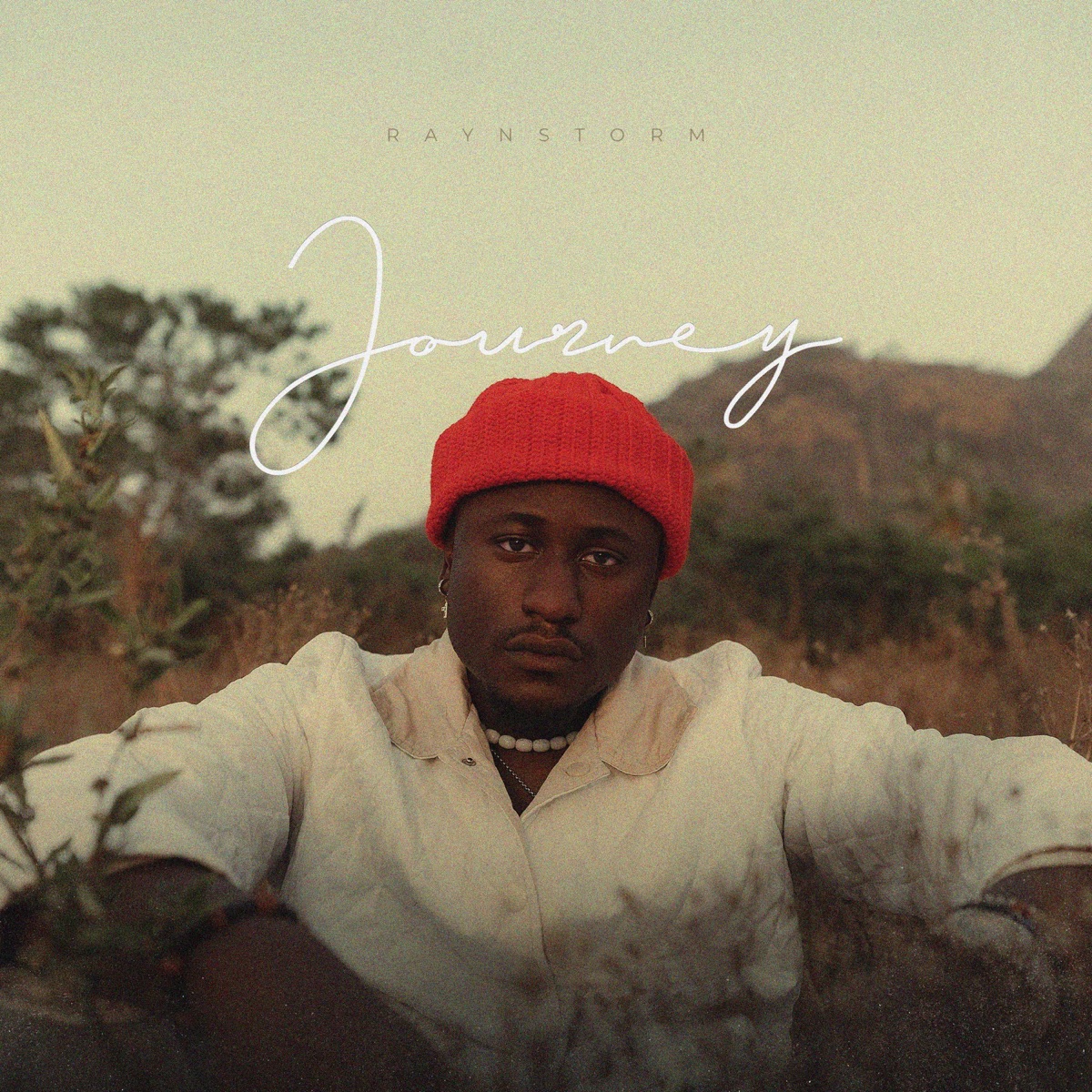 Journey - Single by Raynstorm album cover