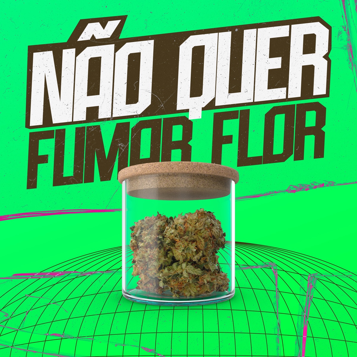Não Quer Fumar Flor - Single by Dj Tchouzen, Dj Bg Da Serra, Mc J Mito & MC Theuzyn album cover
