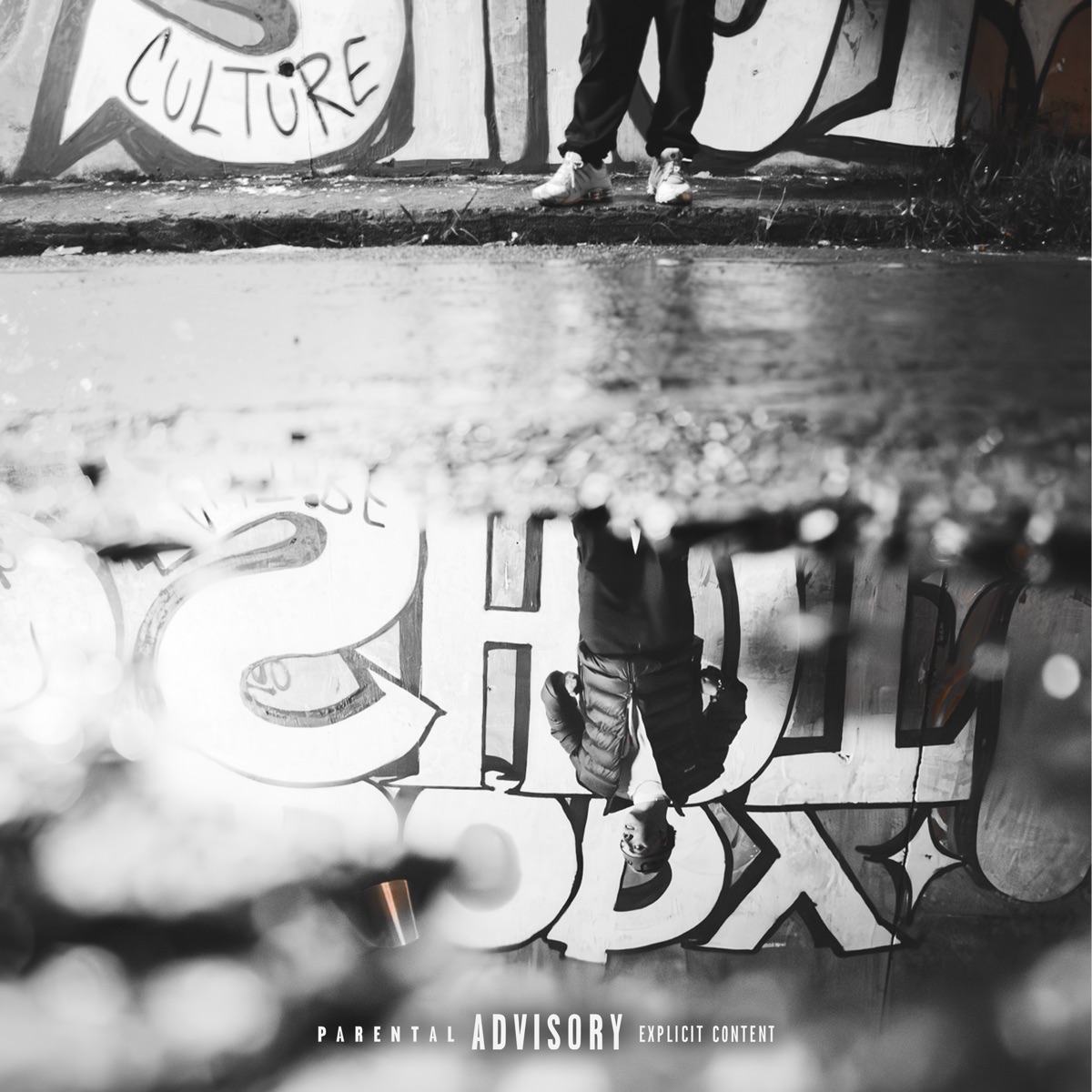 Bodyshot - Single by Pedrok, Caio Cruz & Culture Art Music album cover