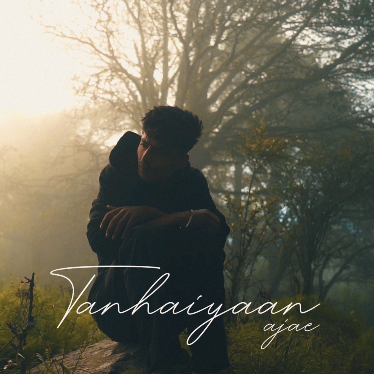 Tanhaiyaan - Single by Ajae album cover