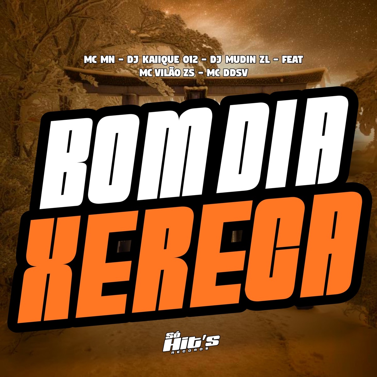 Bom Dia Xereca (feat. MC VILÃO ZS & Mc DDSV) - Single by DJ KAIIQUE 012, DJ Mudin ZL & MC MN album cover