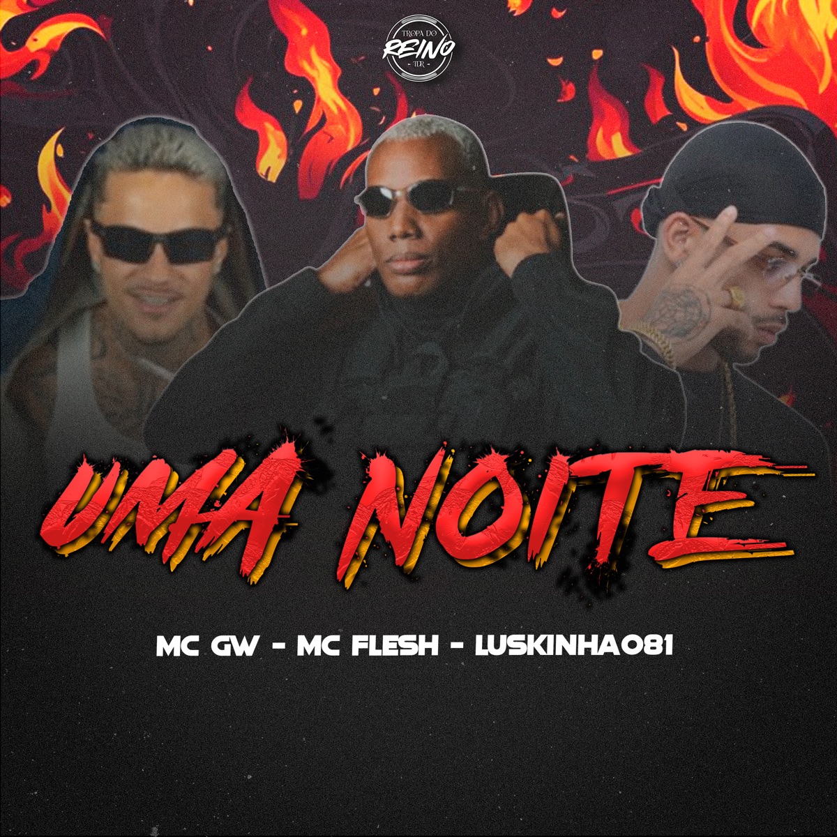 UMA NOITE (feat. Mc Gw) - Single by MC Flesh, Luskinha 081 & TROPA DO REINO album cover