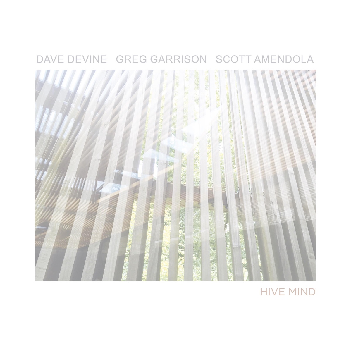 Hive Mind by Dave Devine, Greg Garrison & Scott Amendola album cover