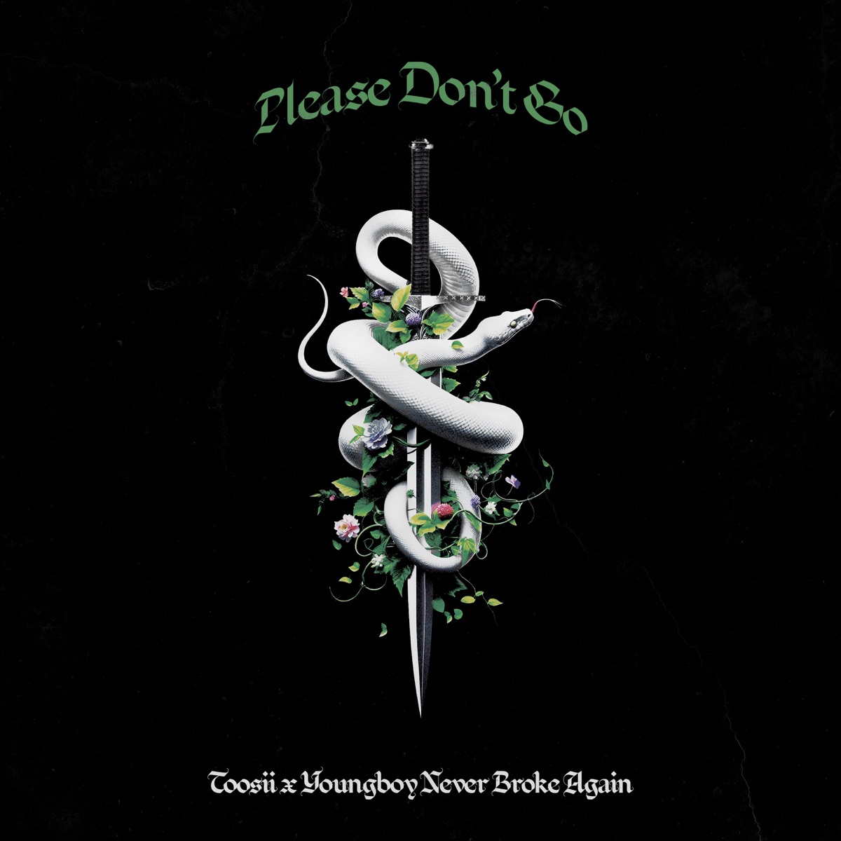 Please Don't Go - Single by Toosii & YoungBoy Never Broke Again album cover artwork