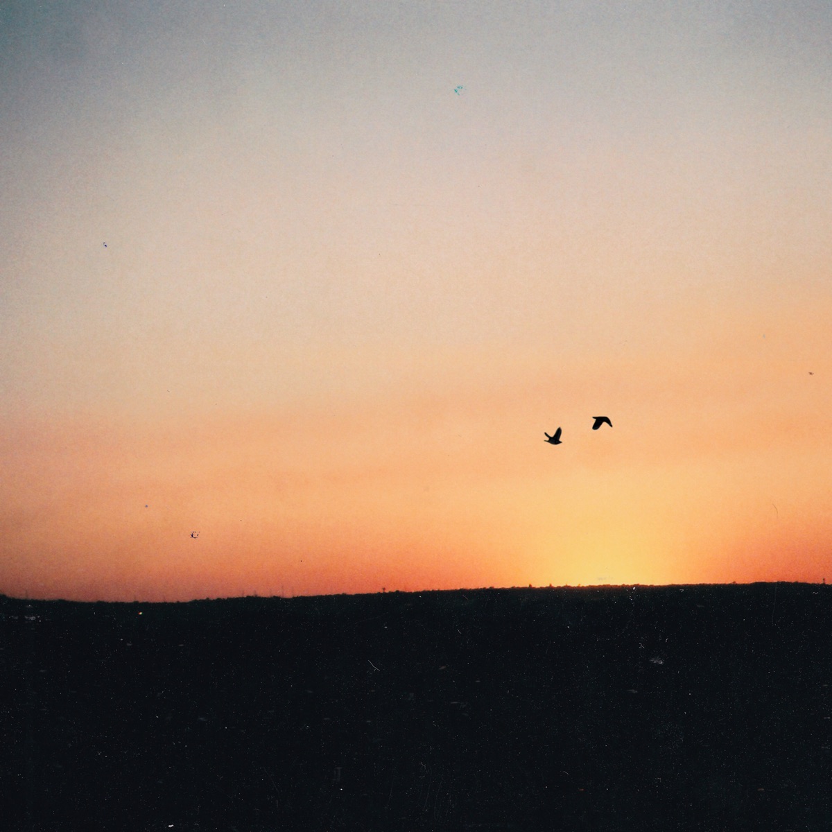 And Then, There Was Light by Dark but Gray album cover