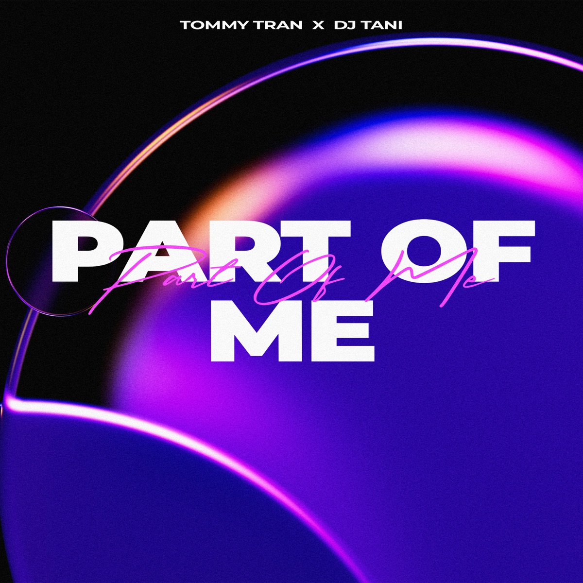 Part Of Me - Single by Tommy Tran & dj tani album cover