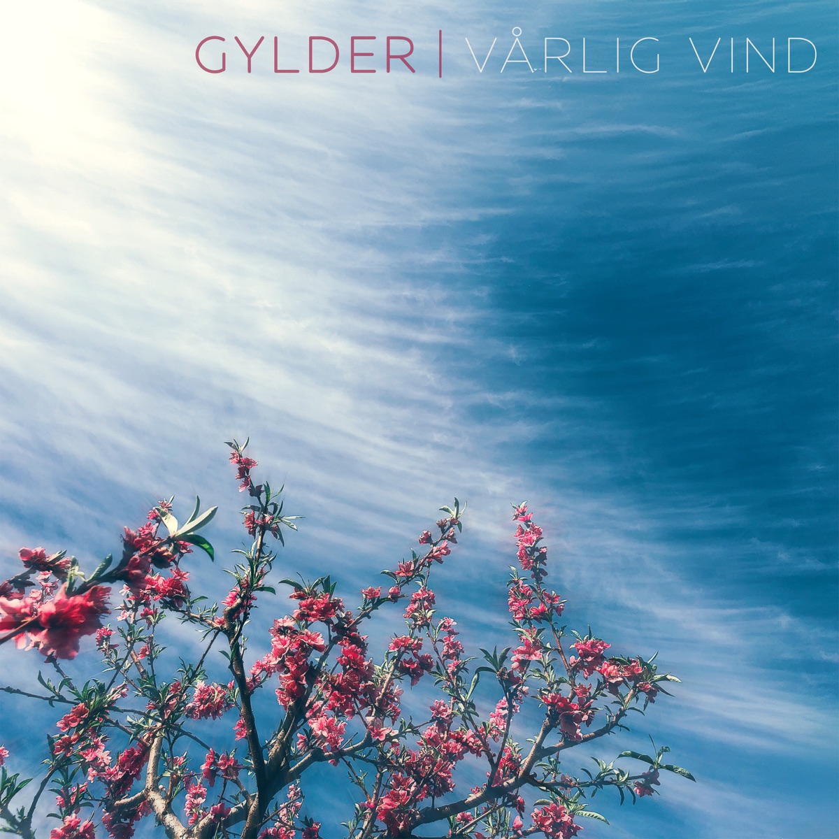 Vårlig vind - Single by Gylder album cover