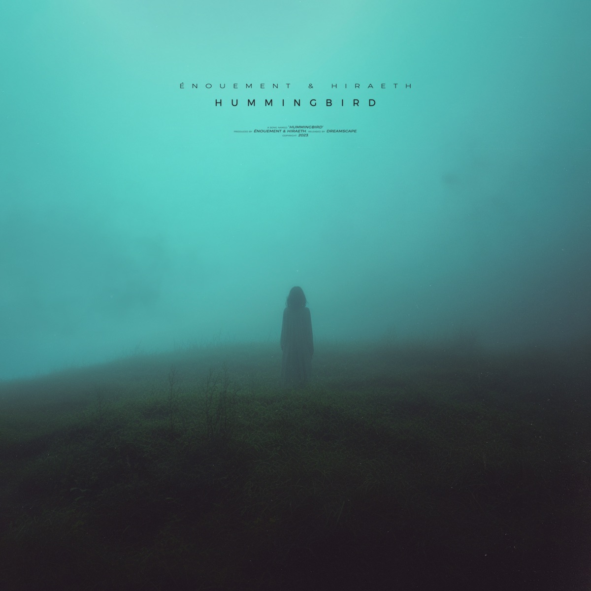 hummingbird (remixes) - EP by ‎hiræth & énouement album cover