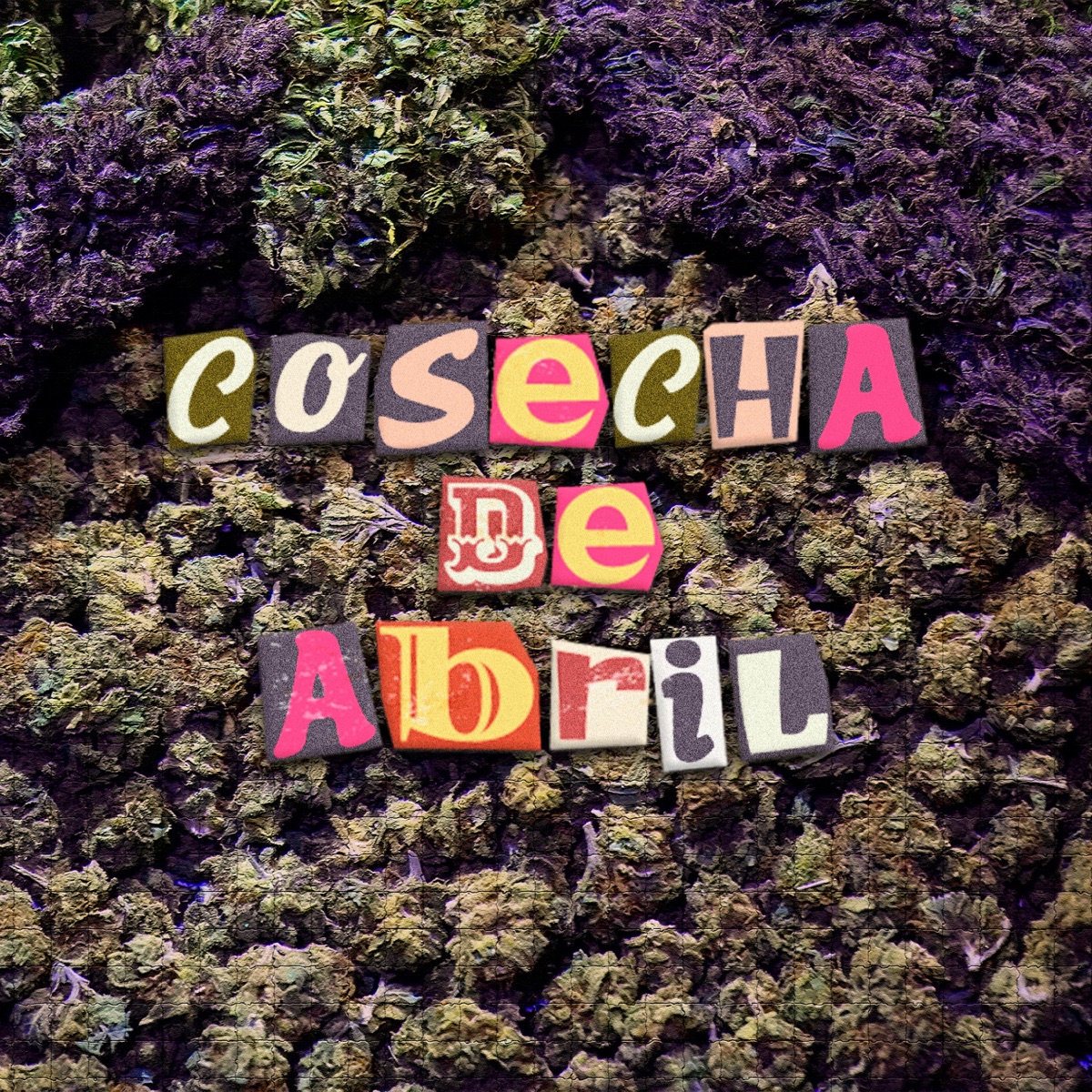 Cosecha De Abril - EP by malaierba album cover