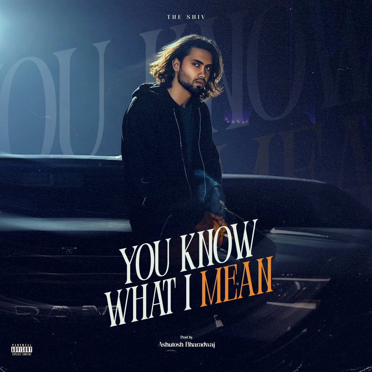 You Know What I Mean - Single by The Shiv album cover