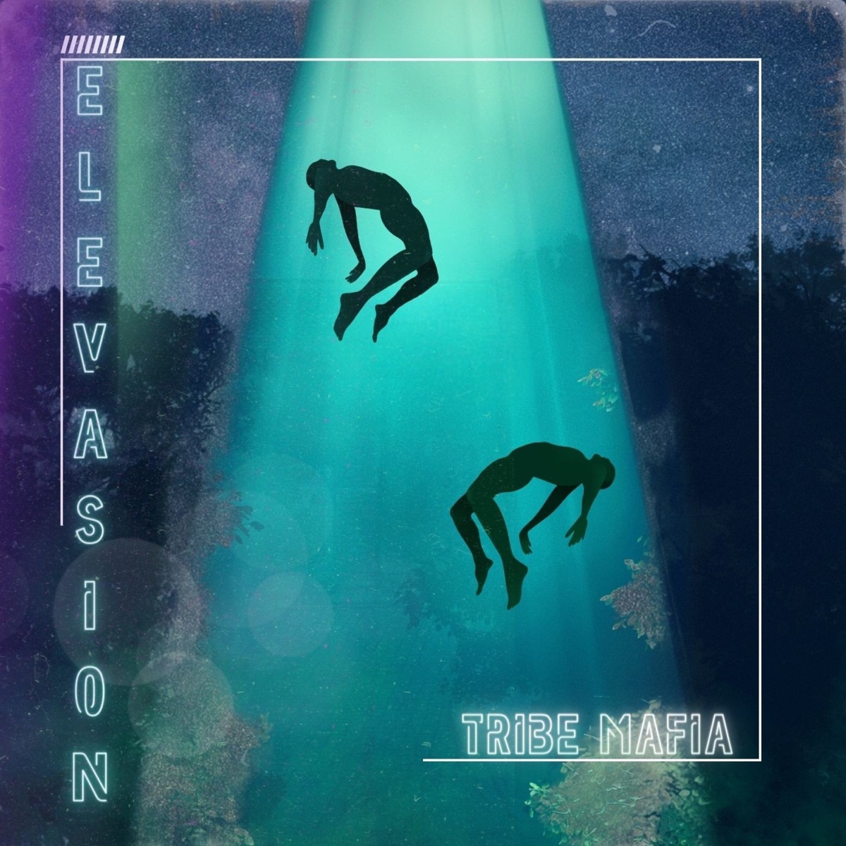 ELEVASION - EP by Tribe Mafia album cover