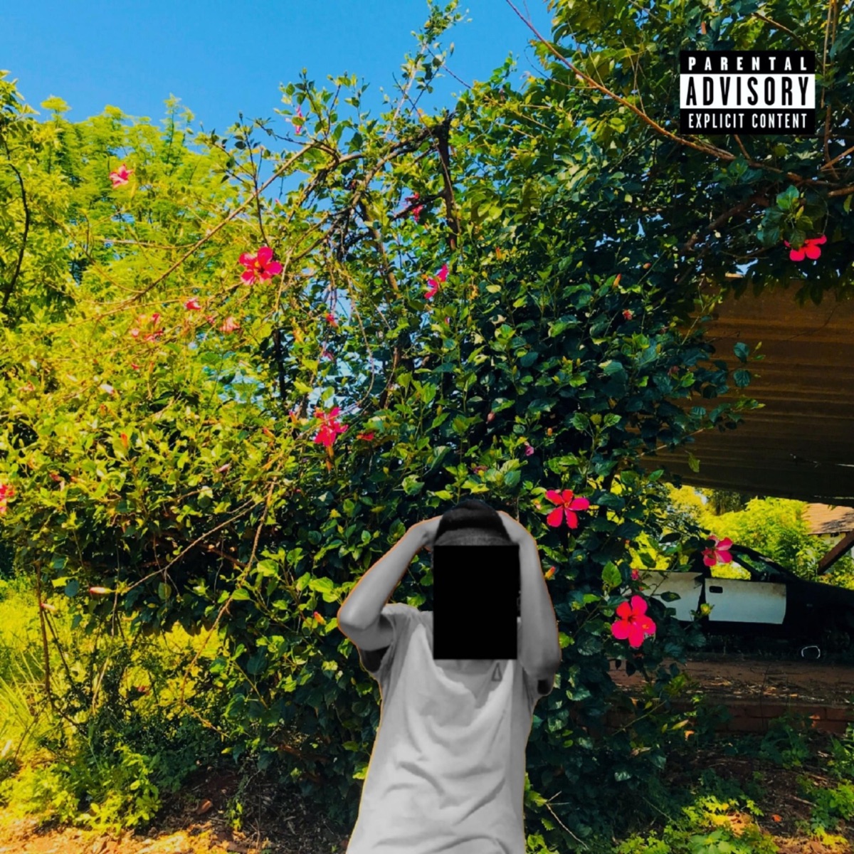 Sunshower: When It’s Raining but the Sun Is Out by Nova Laga album cover
