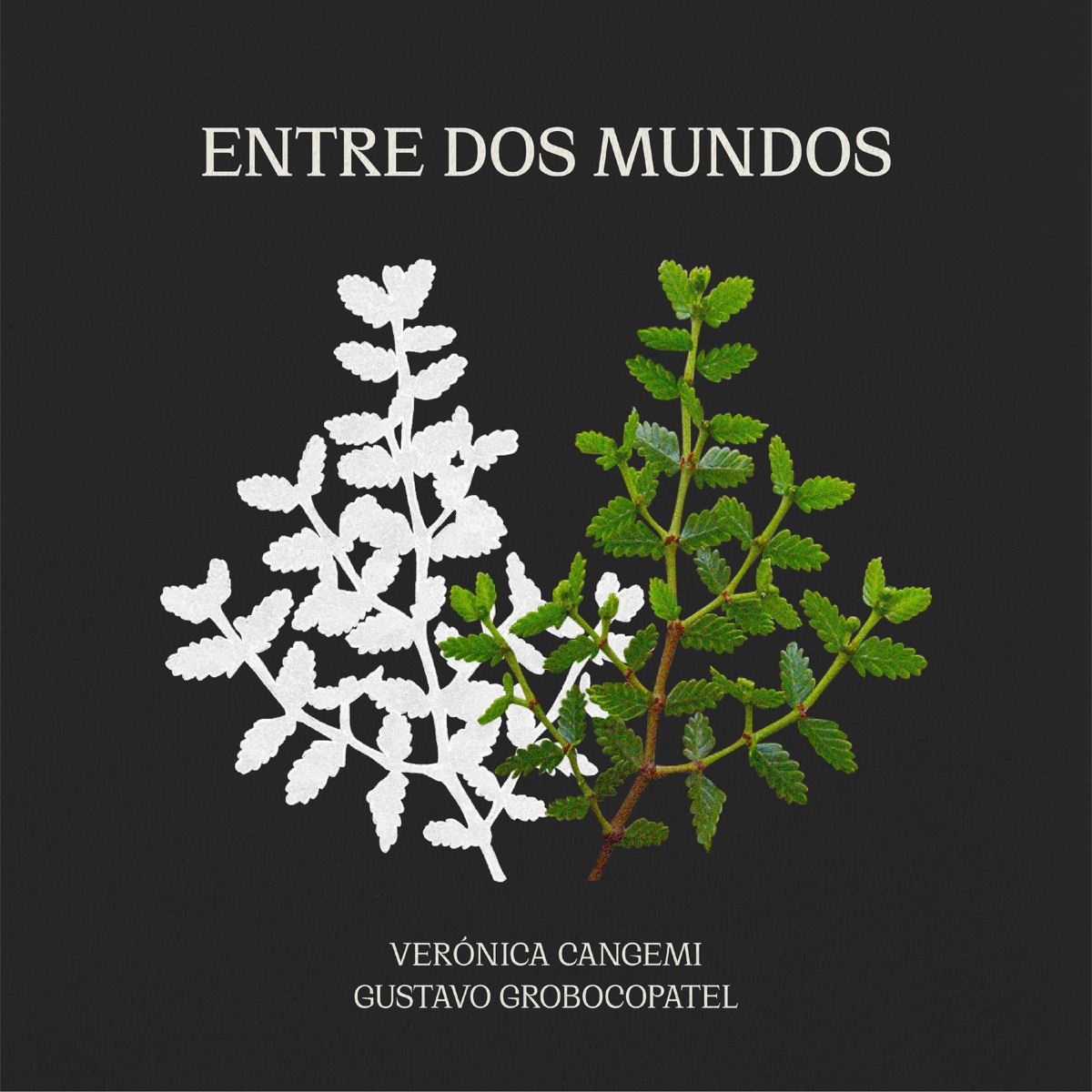 Entre Dos Mundos by Verónica Cangemi & Gustavo Grobocopatel album cover