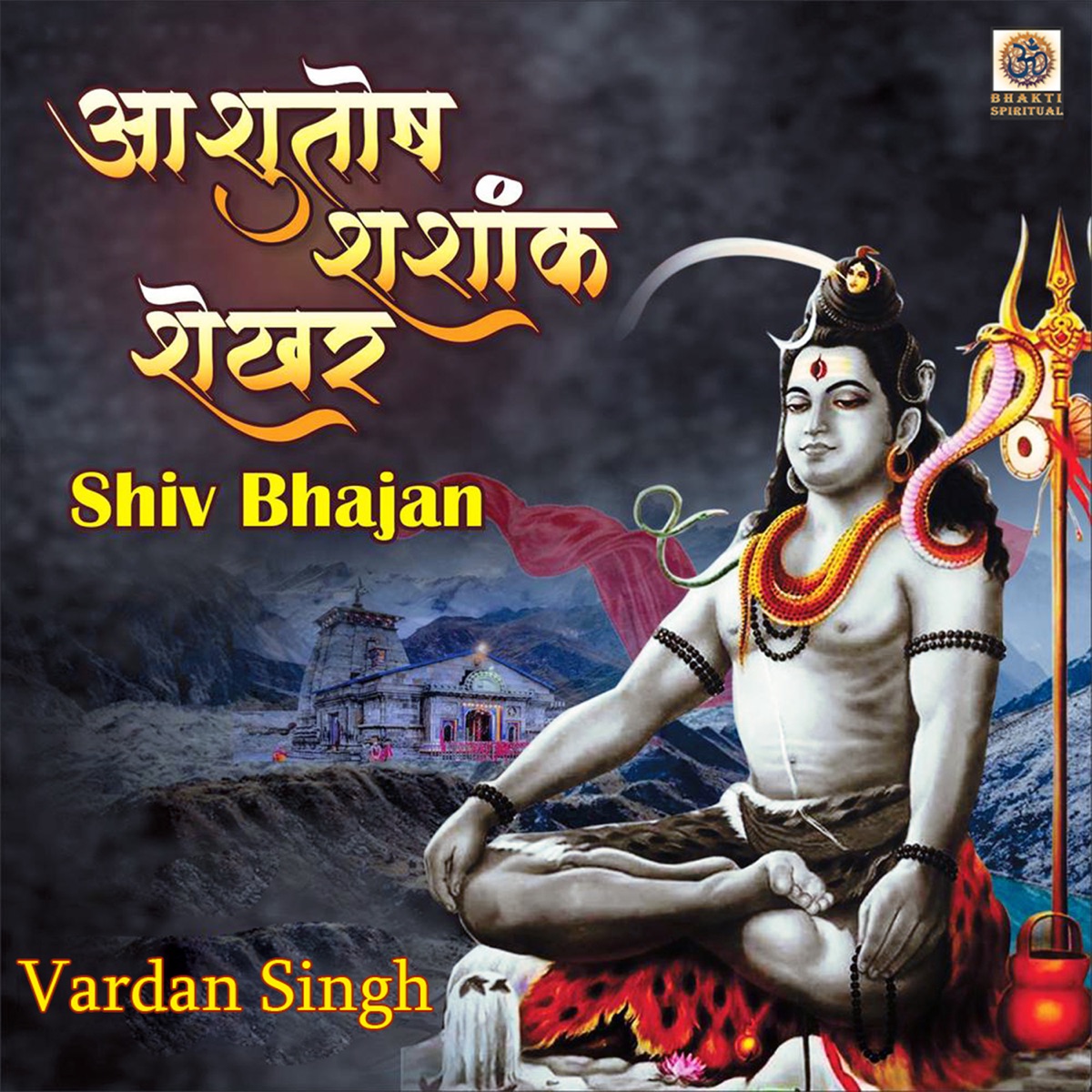 Ashutosh Shashank Shekhar - Single by Vardan Singh album cover
