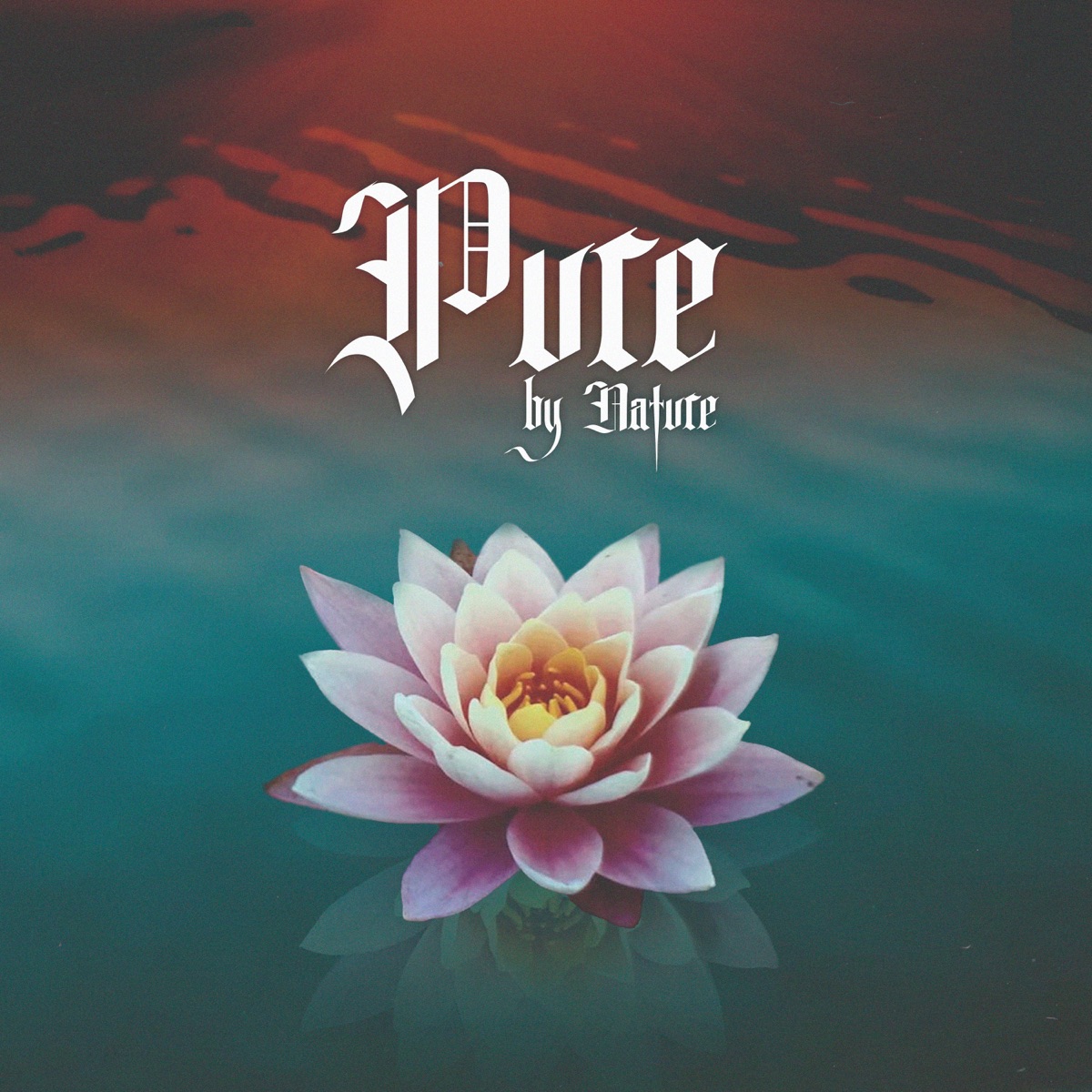 Pure by Nature by Ill J album cover