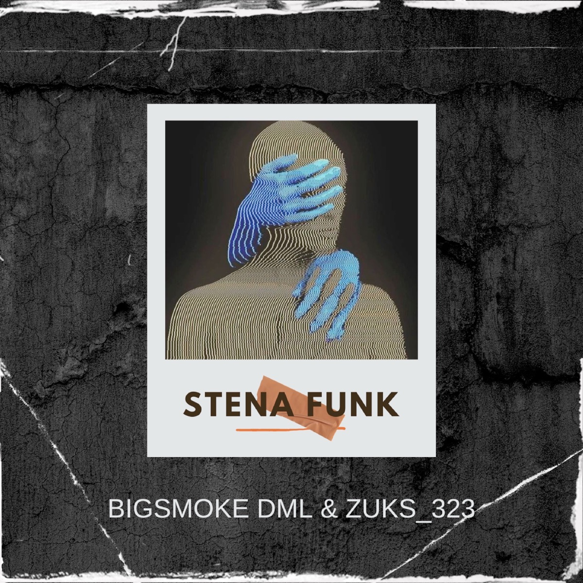 Stena Funk - Single by Bigsmoke Dml & Zuks_323 album cover