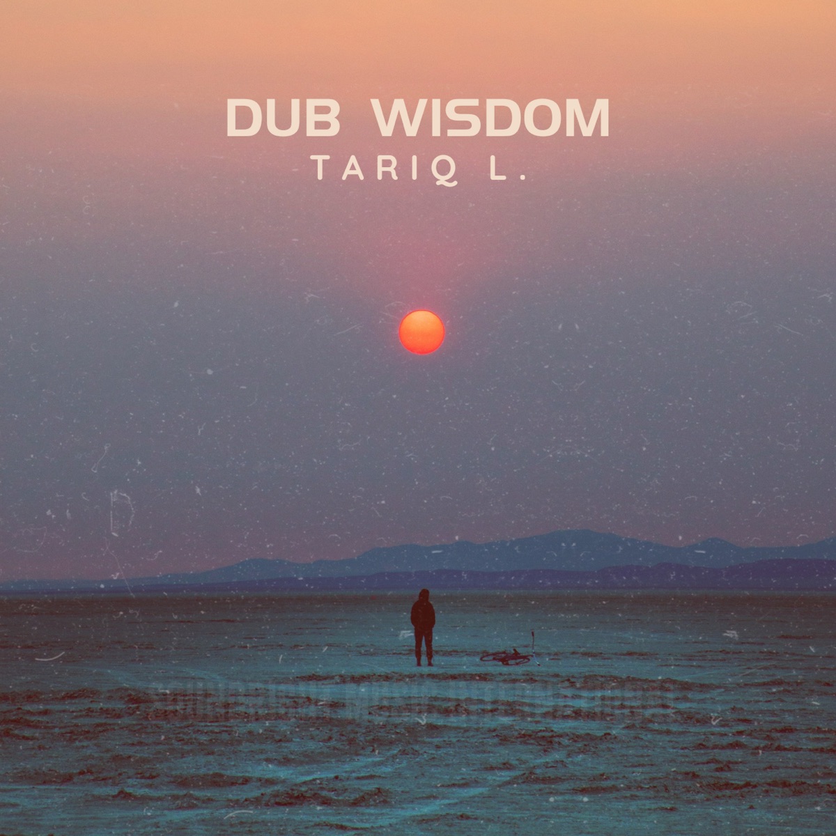 Dub Wisdom - Single by Tariq L album cover