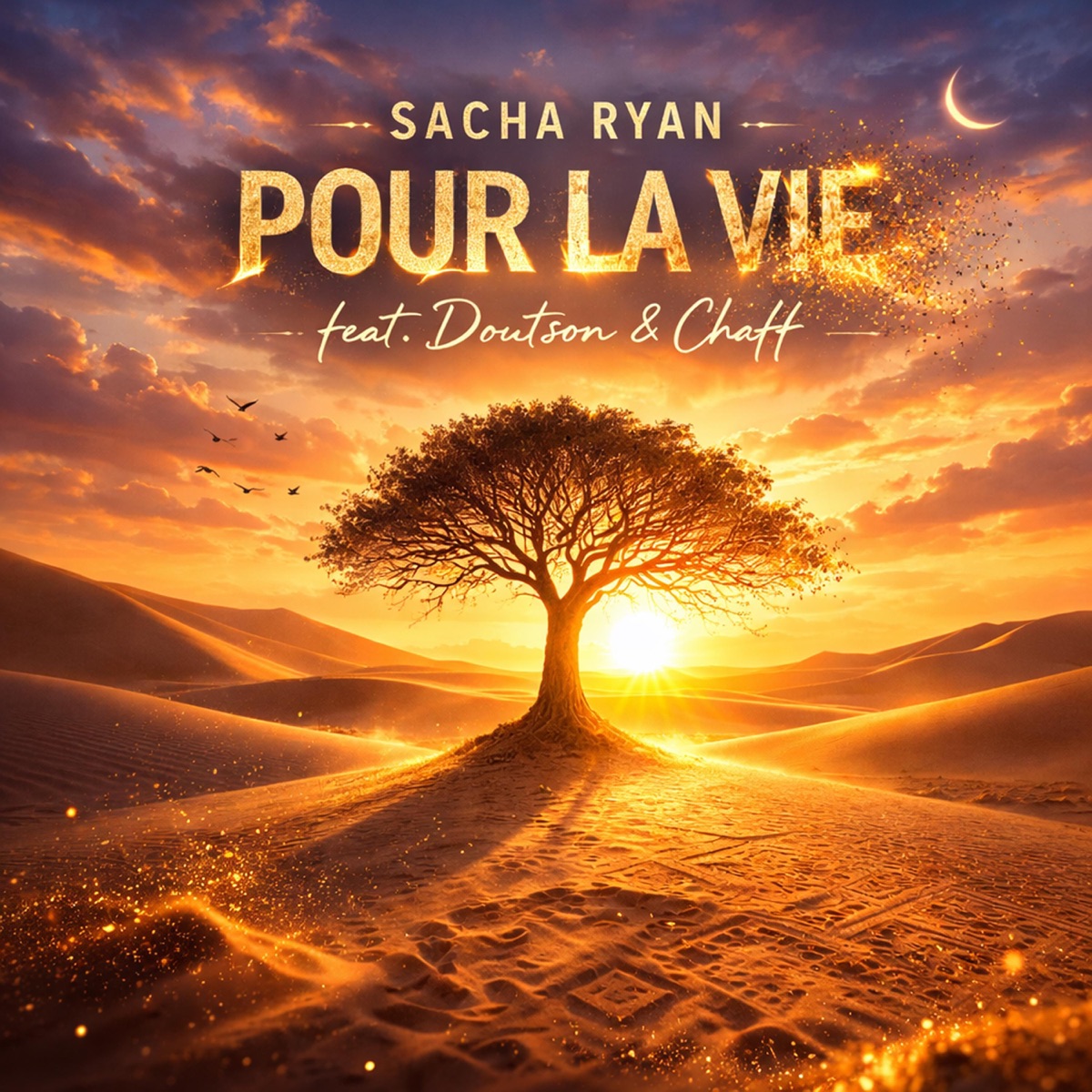 Pour la vie (feat. Doutson & Chaff) - Single by Sacha Ryan album cover