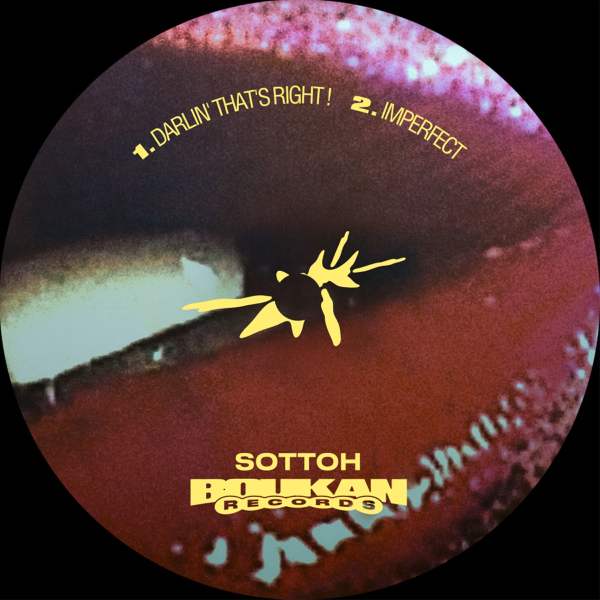 Darlin' That's Right ! - Single by Sottoh & Boukan Records album cover