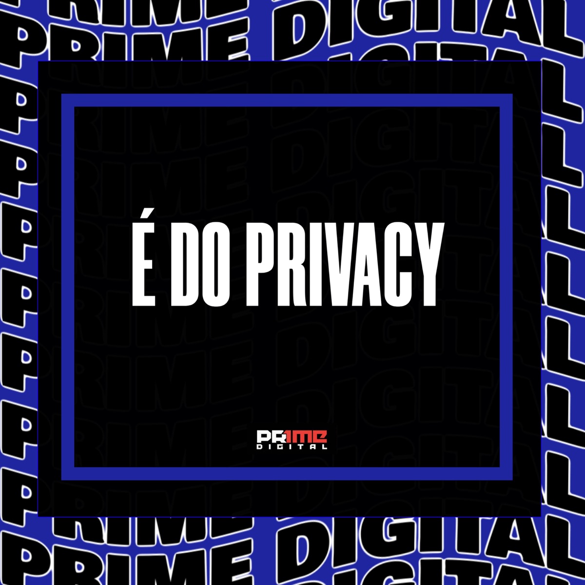É DO PRIVACY - Single by Dj Tchouzen, Mc Guidanny & MC Negritin album cover