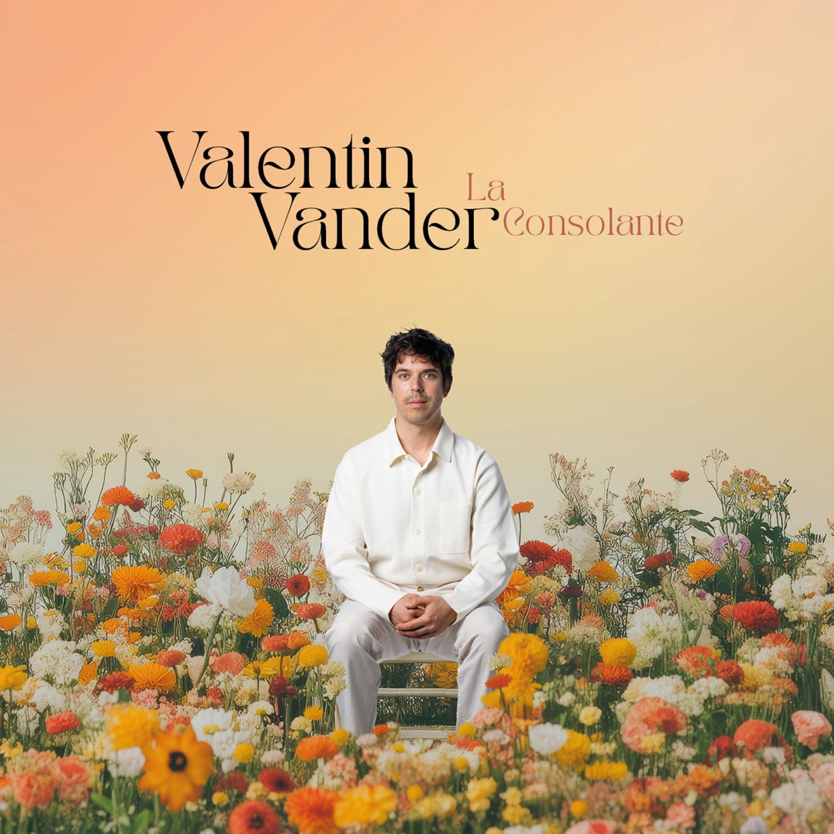 La consolante by Valentin Vander album cover