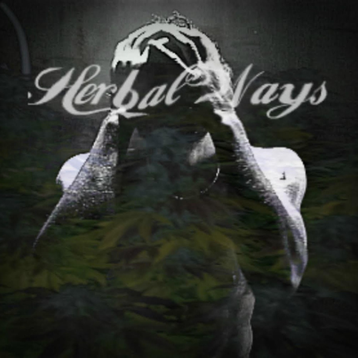 Herbal Ways - Single by iTBeISO album cover