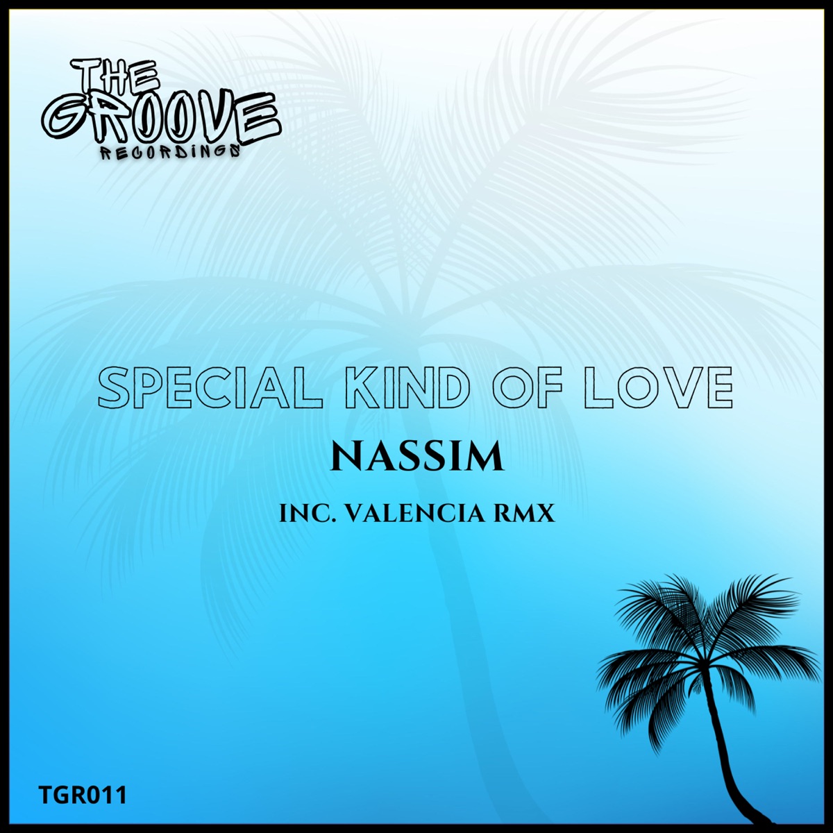 Special Kind Of Love - EP by Nassim album cover