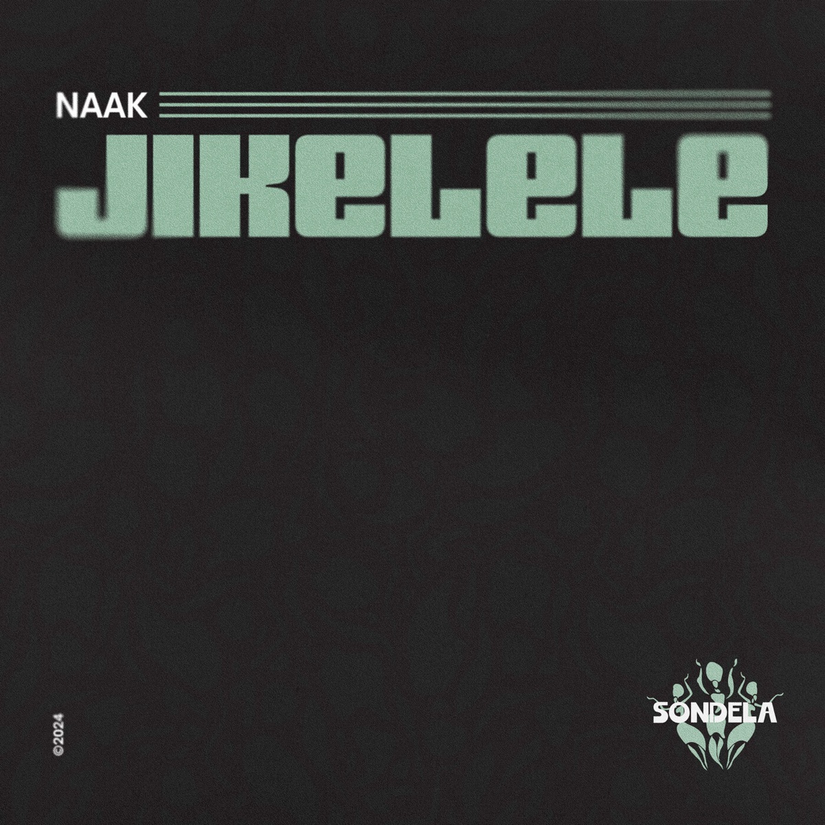 Jikelele - Single by NAAK album cover